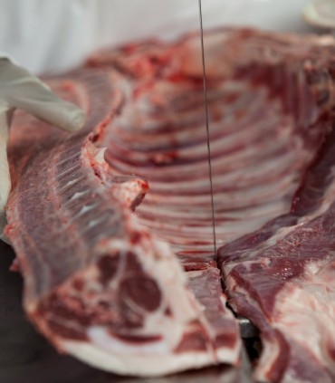 تیغ اره نواری استخوان بر کبالت آلمان عرض 16