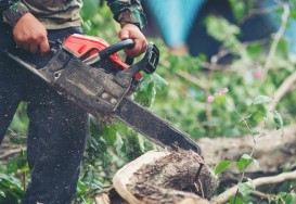 11 ابزار کاربردی برای برش چوب 